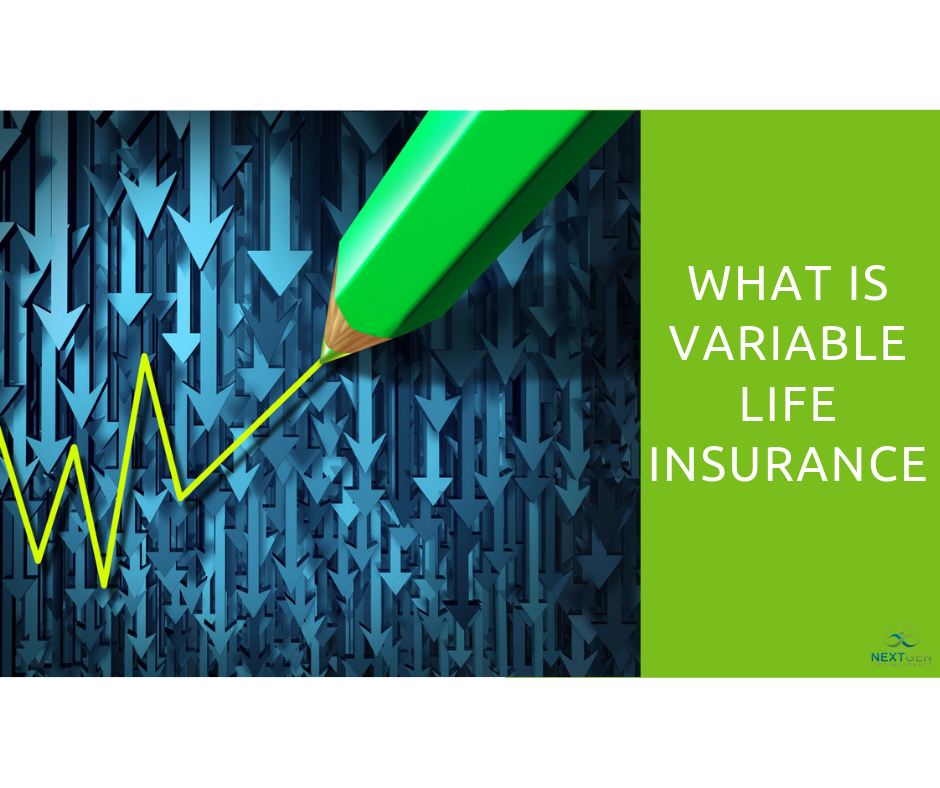 what-is-variable-life-insurance