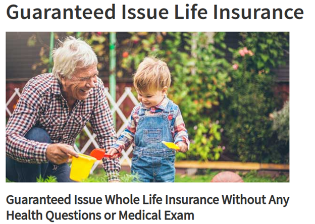 AIG Life Insurance Review